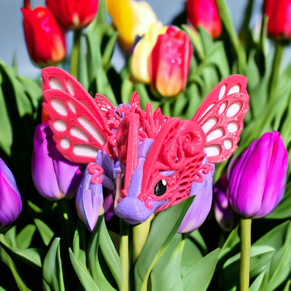 Butterfly Dragon - Baby